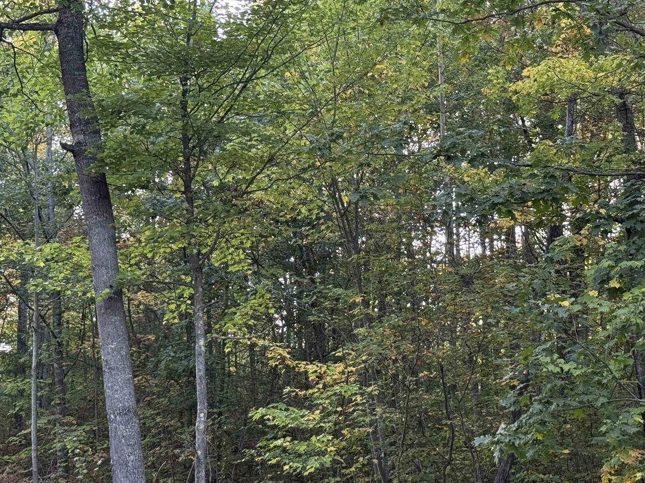 Iron River, WI 54847,000 Old Hwy 2