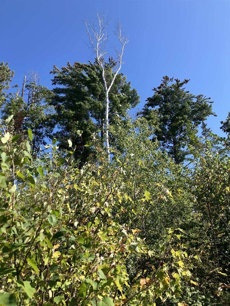 Saxon, WI 54546,00003 Pine Flats Rd