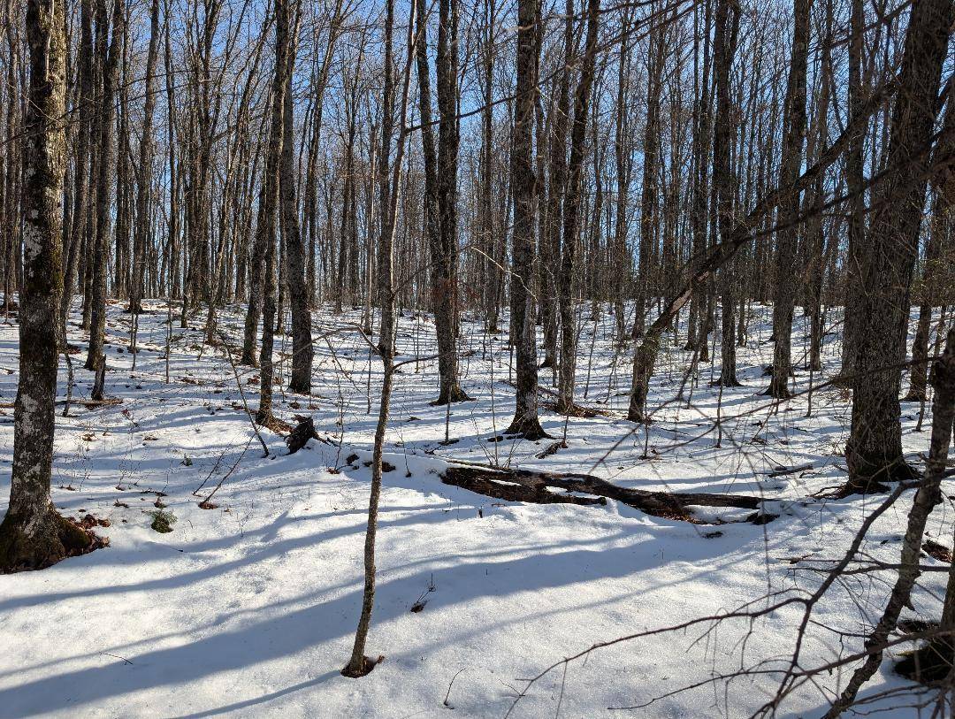 Mellen, WI 54546,Red House Rd