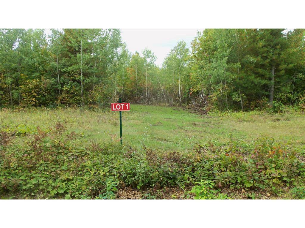 Hertel, WI 54845,LOT 1 BEAVER DAM RD
