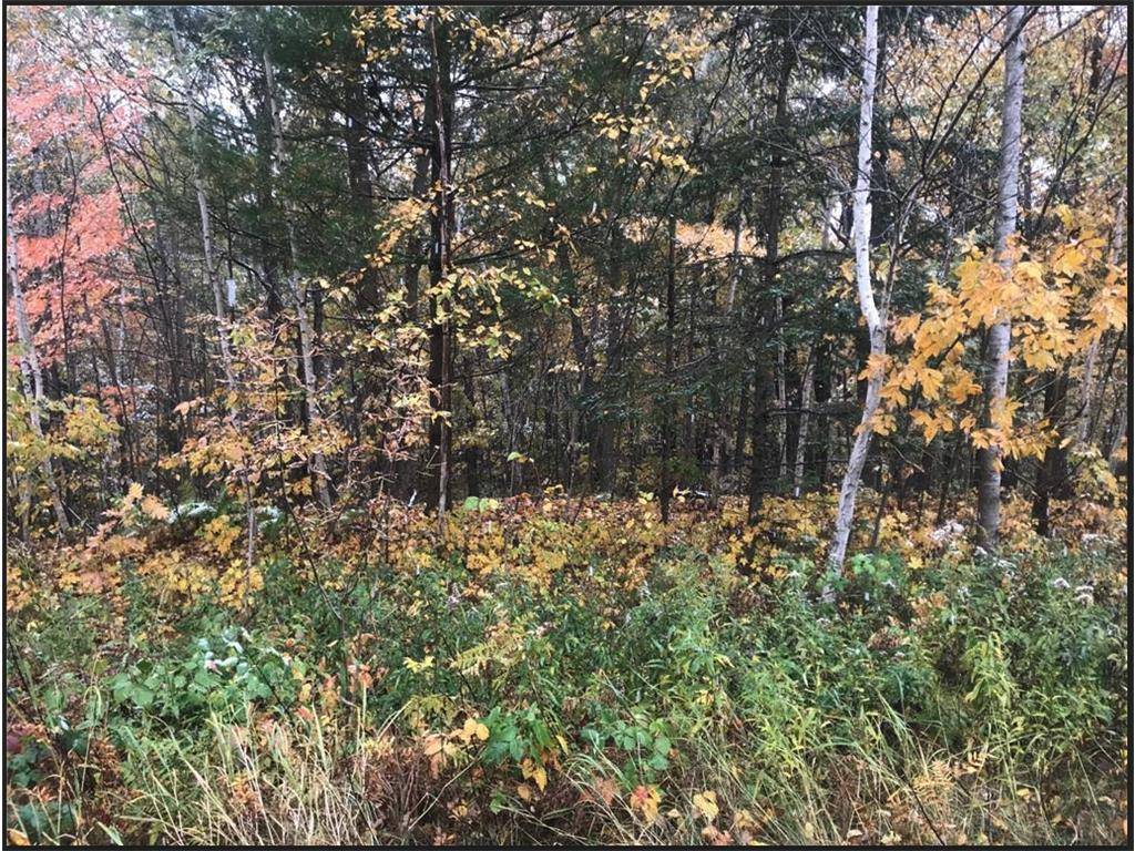 Balsam Lake, WI 54810,Lot 113 162nd Avenue