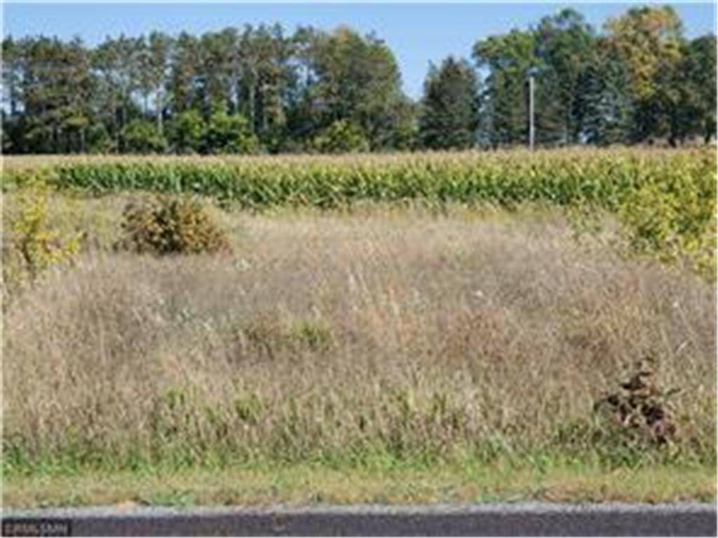 Hammond, WI 54015,1163 178th St./Dalton Farm Road, Lot 24