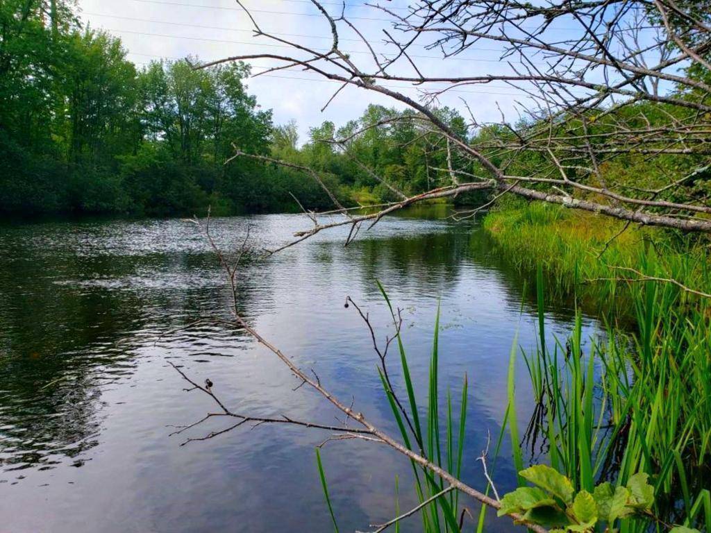 Couderay, WI 54828,Lot 2 State Road 27/70