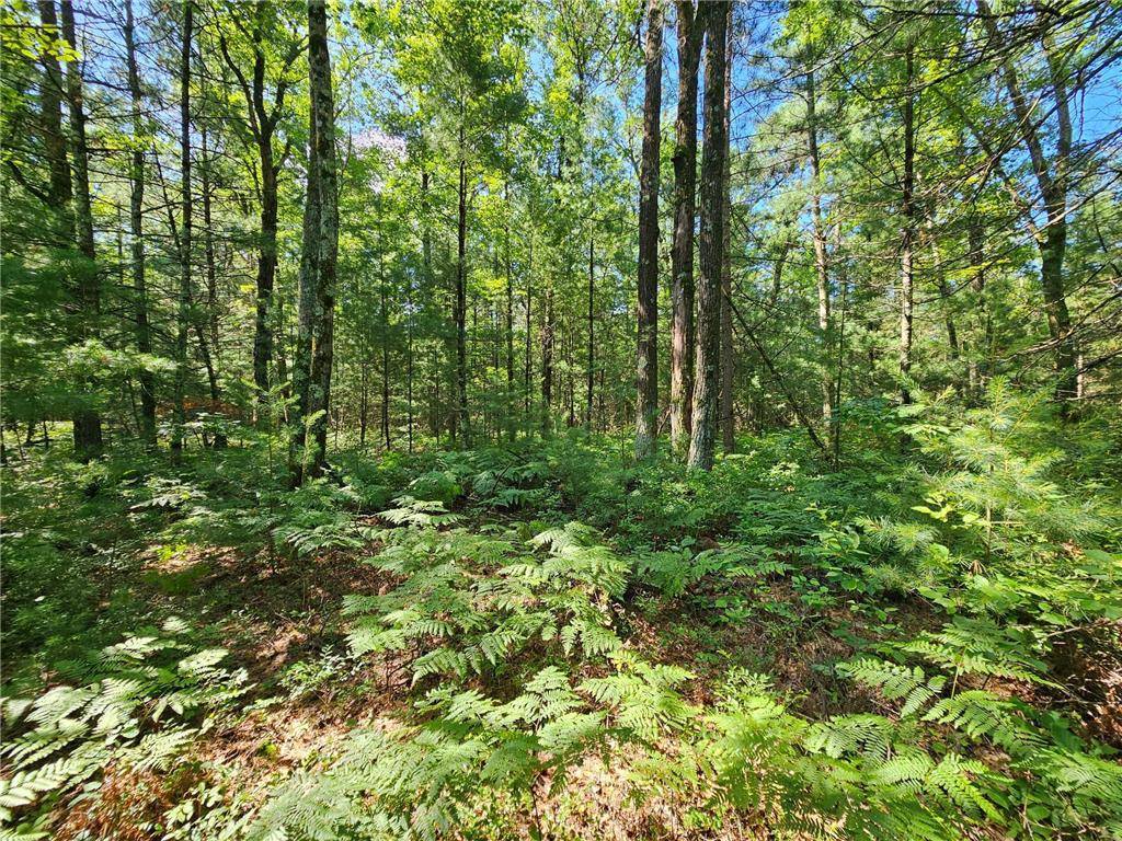 Black River Falls, WI 54615,XXX Potter Road