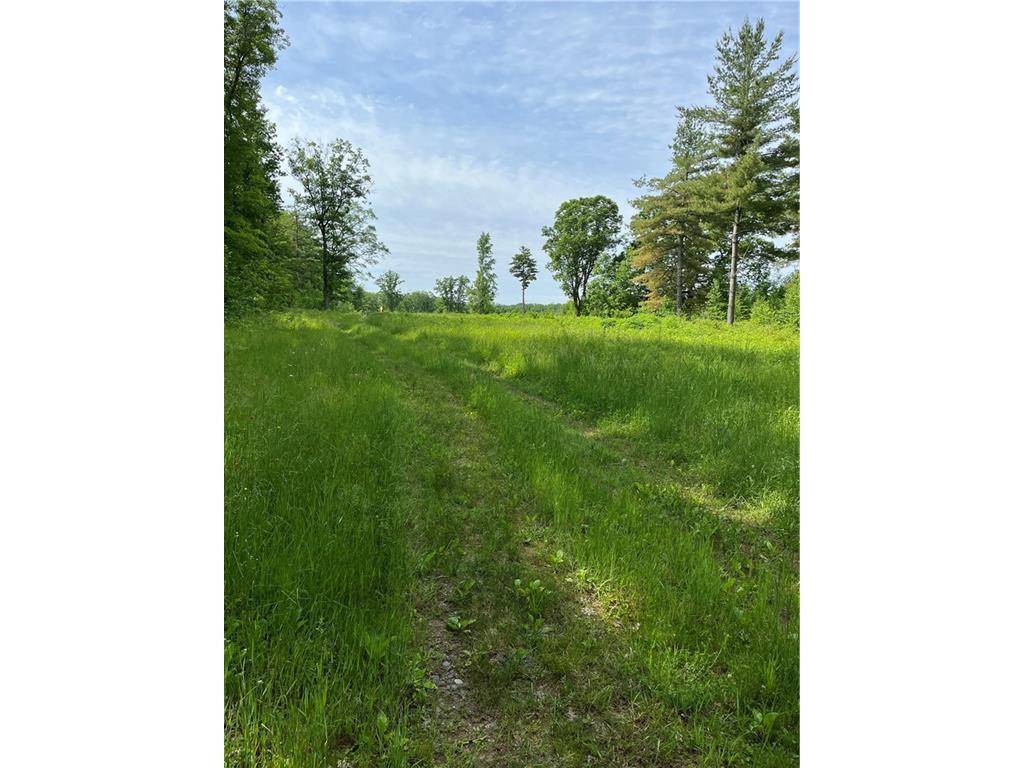 Bruce, WI 54819,81 acres Pinnow Road