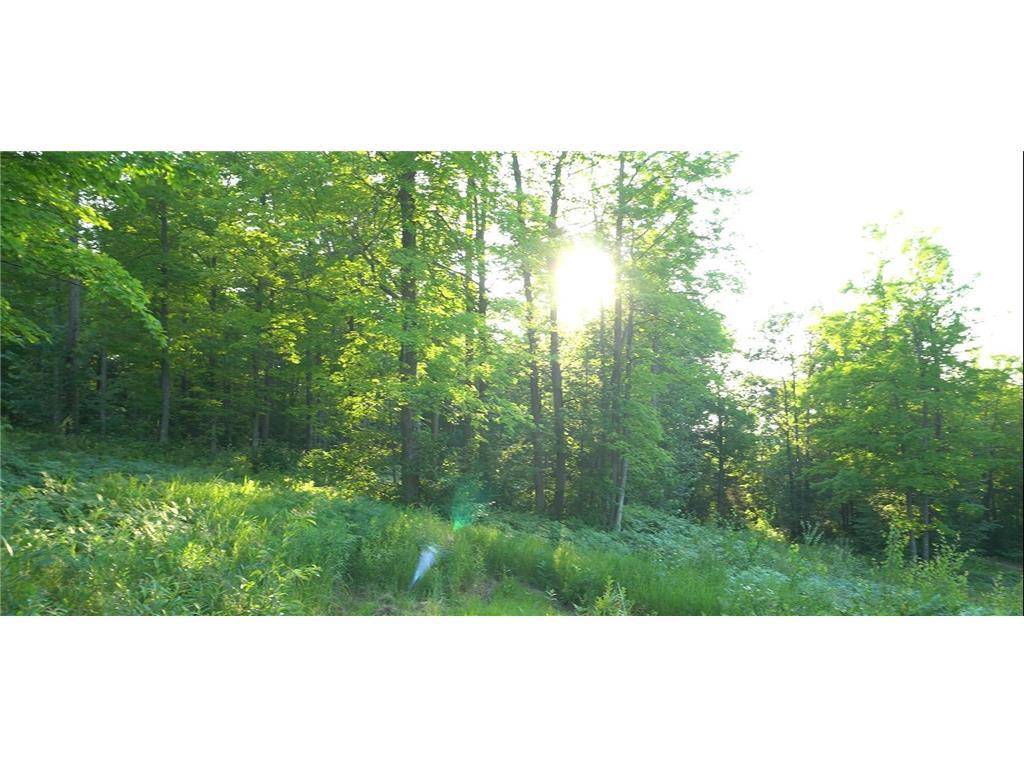 Bayfield, WI 54814,83xxx - Lot 7 Ashwabay Road