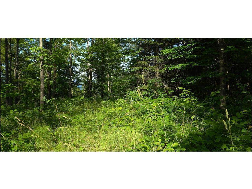 Bayfield, WI 54814,83xxx - Lot 12 Ashwabay Road