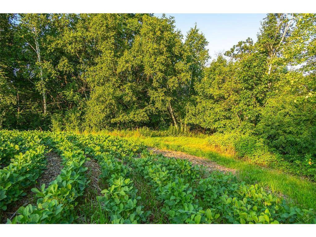 Blair, WI 54616,N34701 County Road S