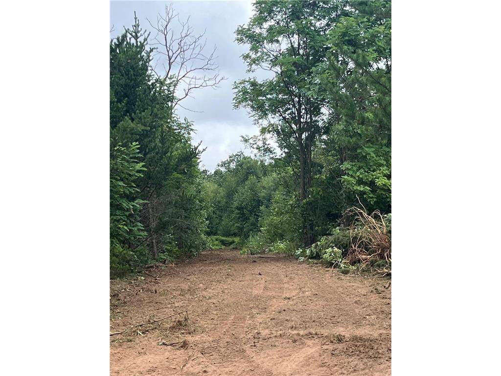 Webster, WI 54893,XXX Bluebird Trail