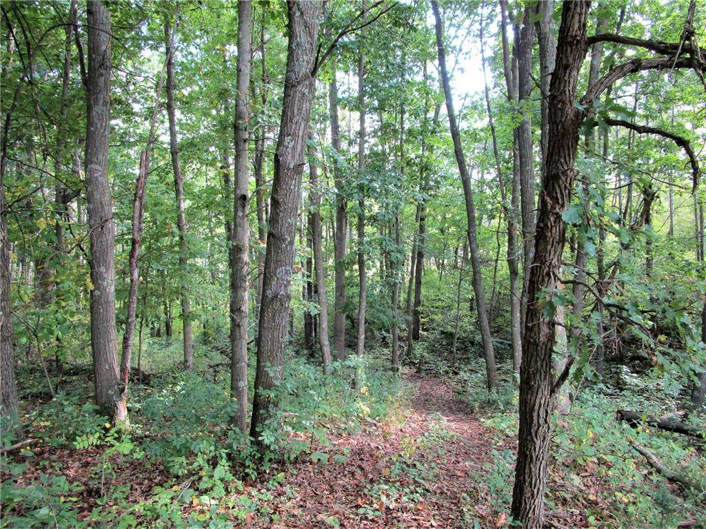 Frederic, WI 54837,1764 300th Avenue