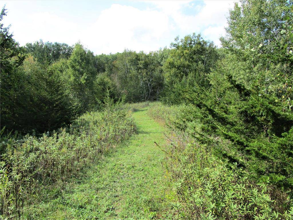 Frederic, WI 54837,1764 300th Avenue