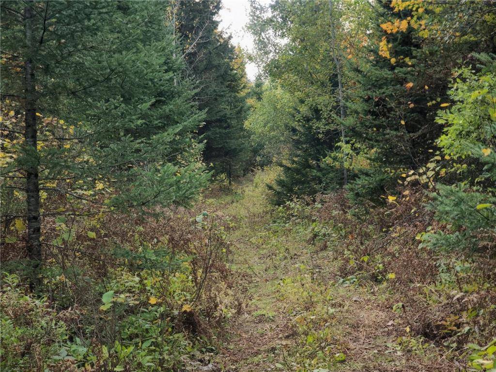 Butternut, WI 54514,72429 Bear Lake Road