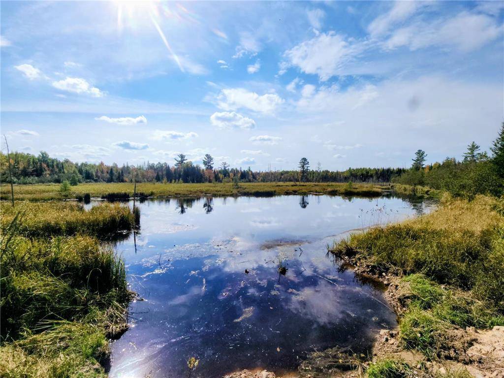 Butternut, WI 54514,72429 Bear Lake Road