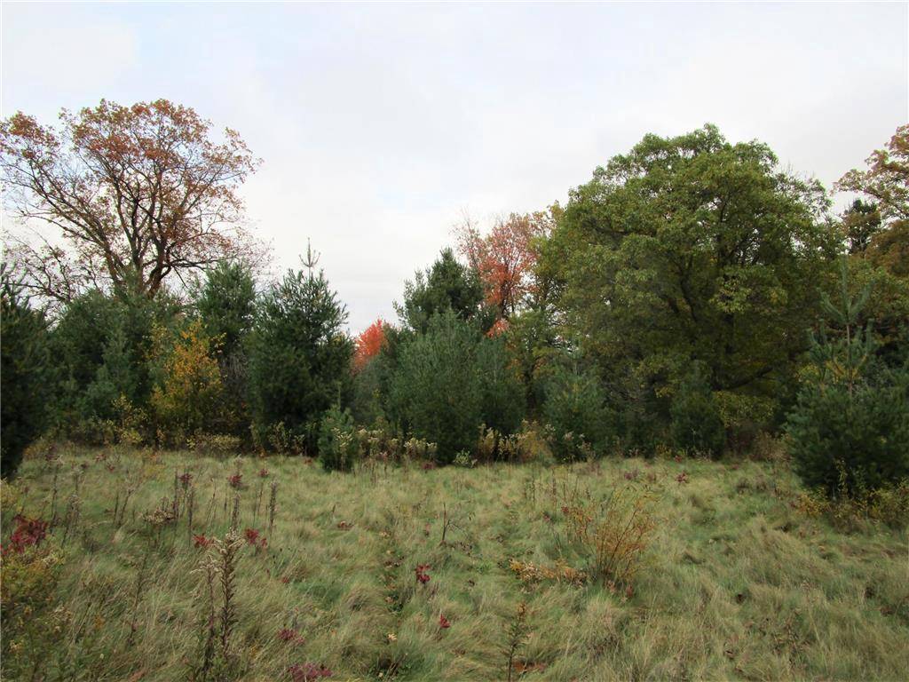 Frederic, WI 54837,Parcel 2 90th Street