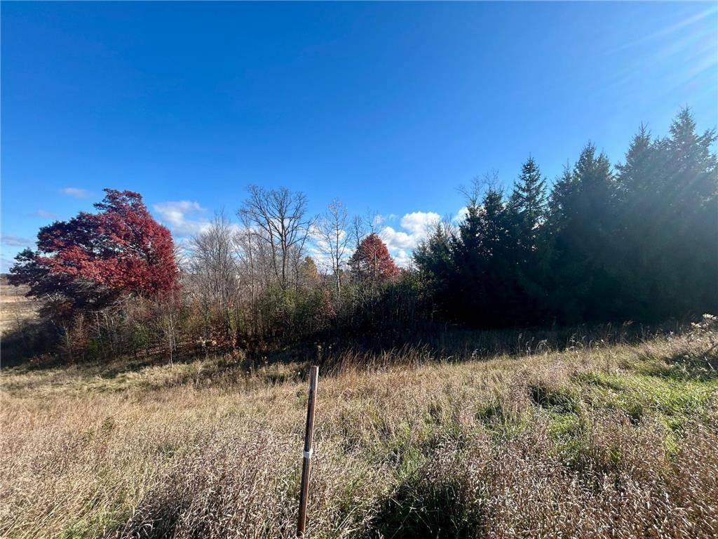 Amery, WI 54001,TBD 125th Street