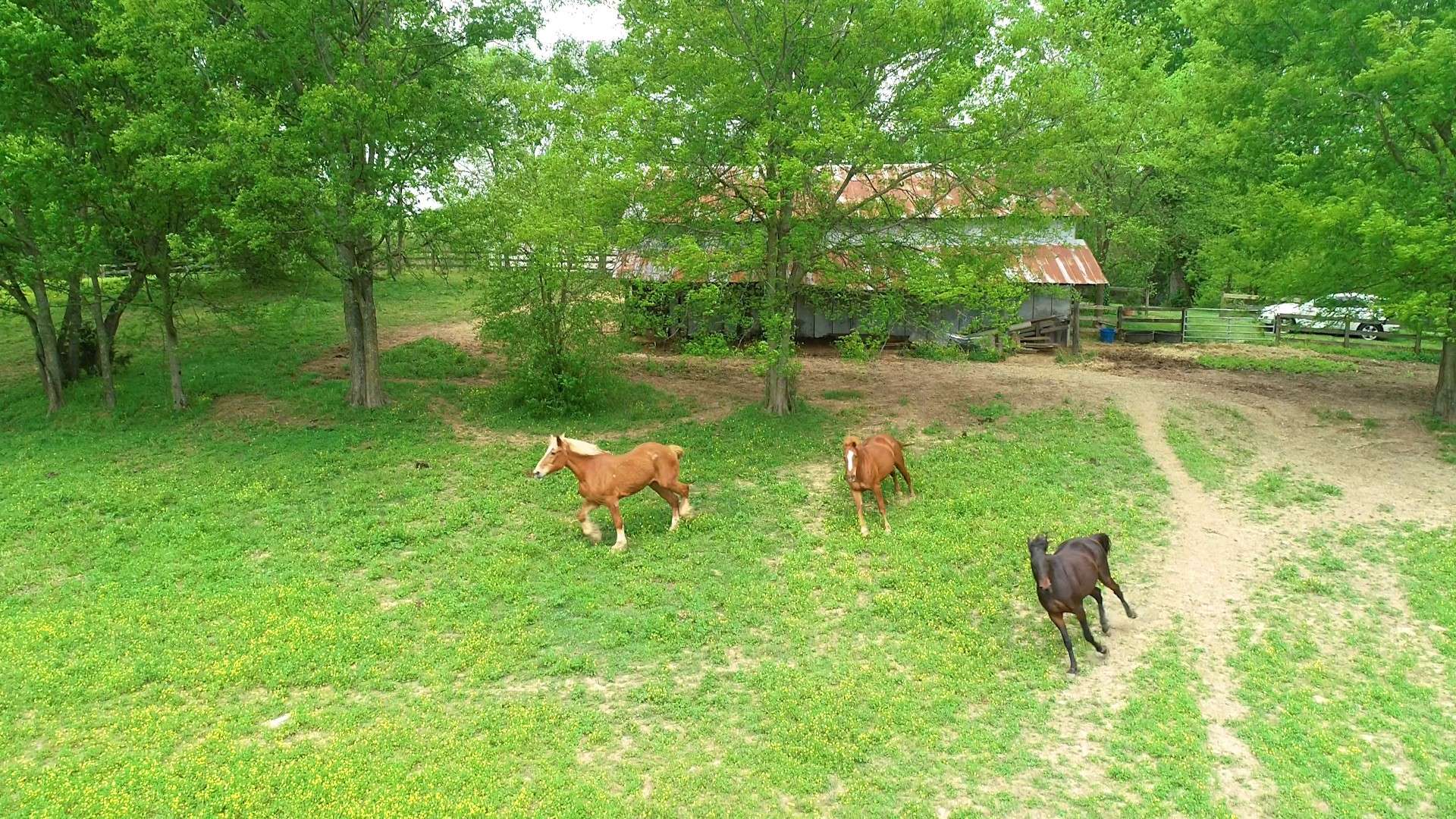 Smithville, TN 37166,0 Mullican Dr