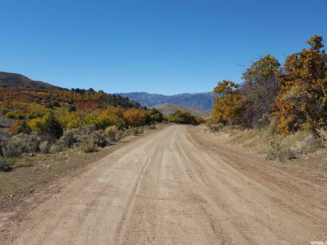 Indianola, UT 84629,54 N MOUNT BALDY LOOP W #54