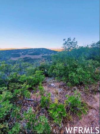 Indianola, UT 84629,55 N MOUNT BALDY LOOP W #55