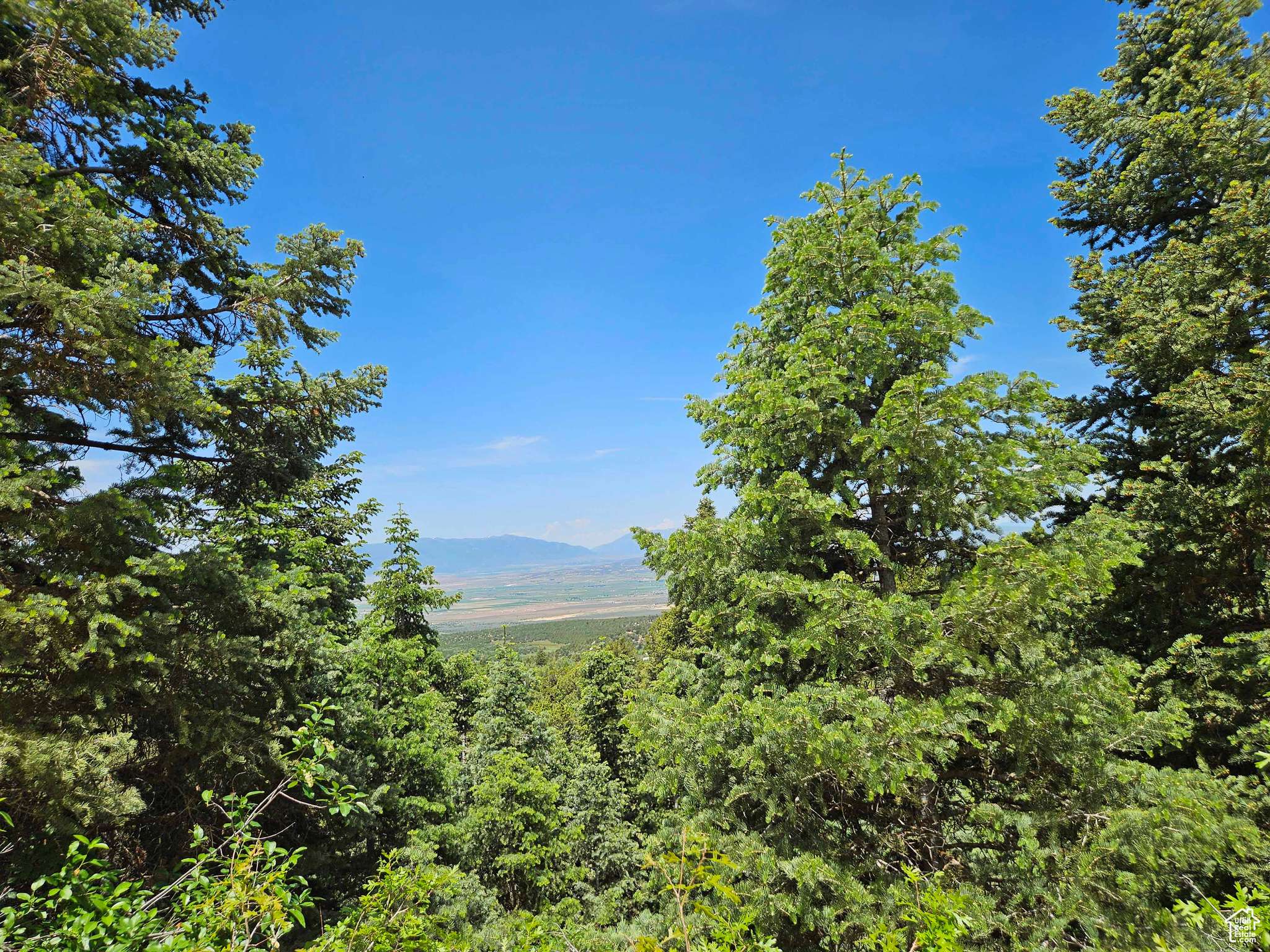 Mt Pleasant, UT 84647,137 S JUNIPER DR W #137A