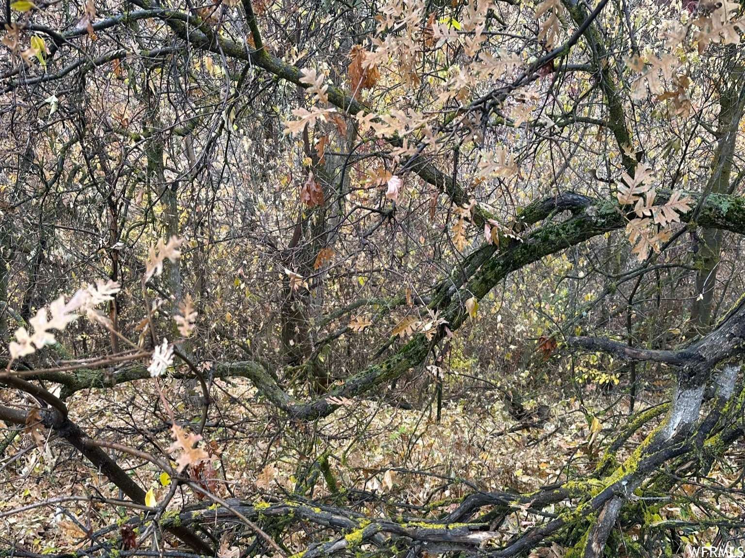 Riverdale, UT 84405,4752 S 575 W