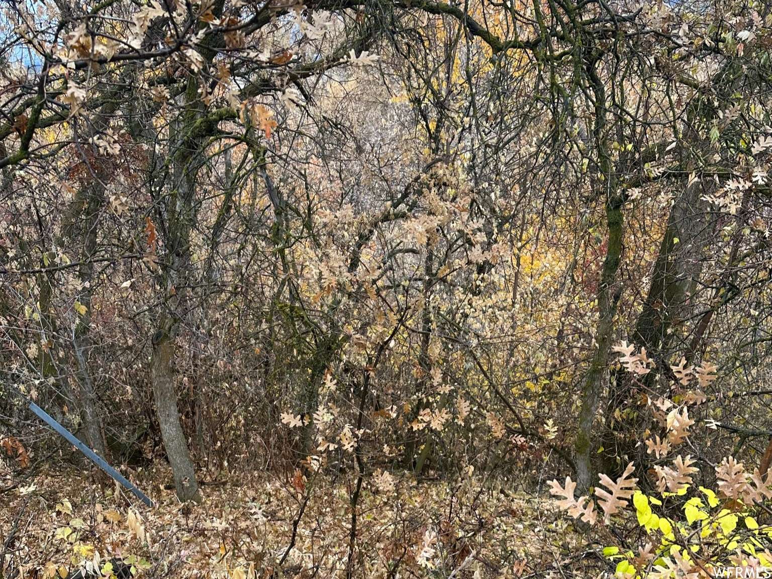 Riverdale, UT 84405,4752 S 575 W