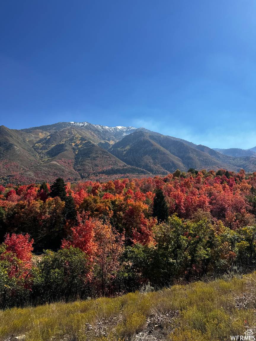 Woodland Hills, UT 84653,170 W VALLEY VIEW WAY #2