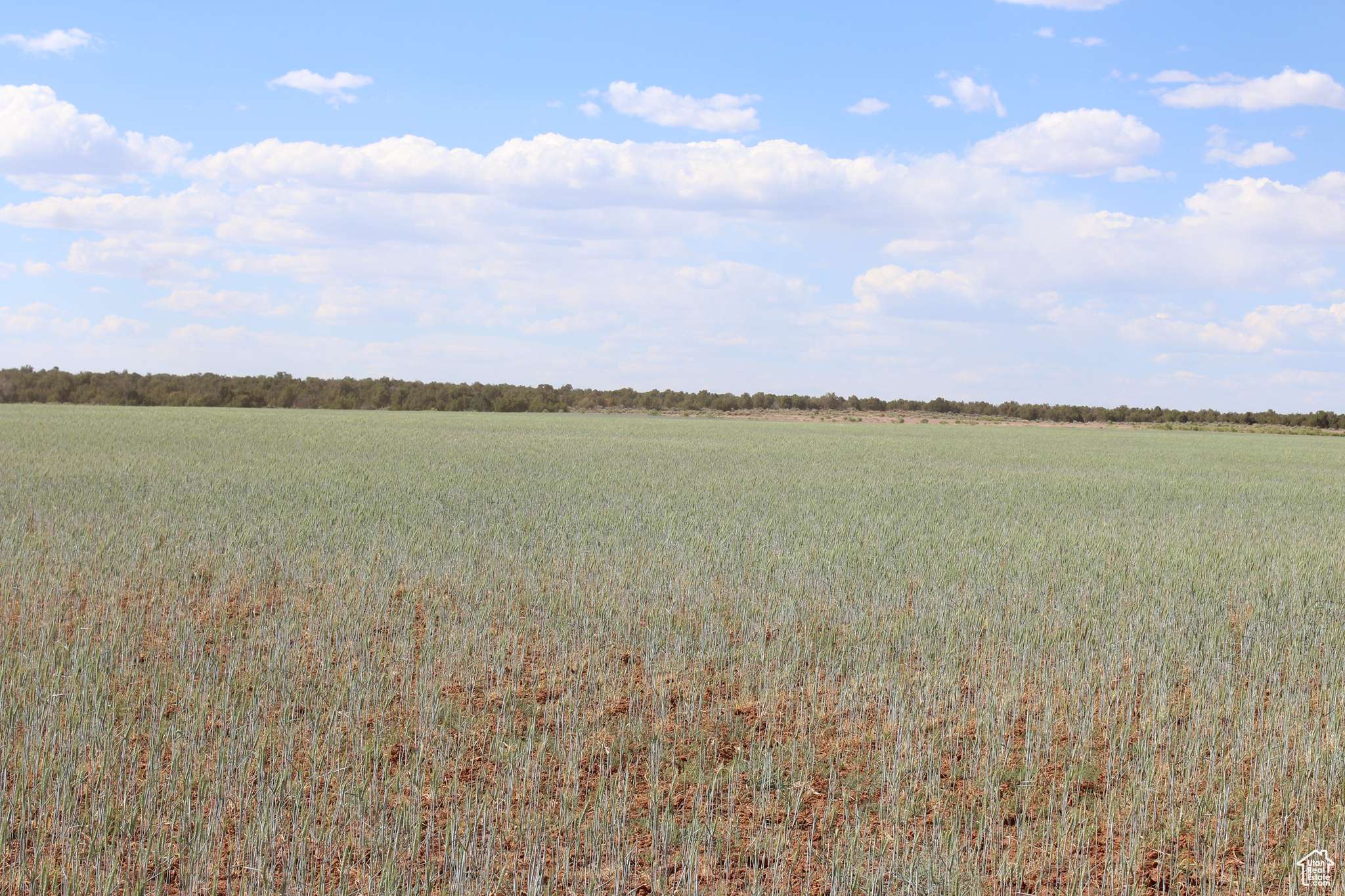 Monticello, UT 84535