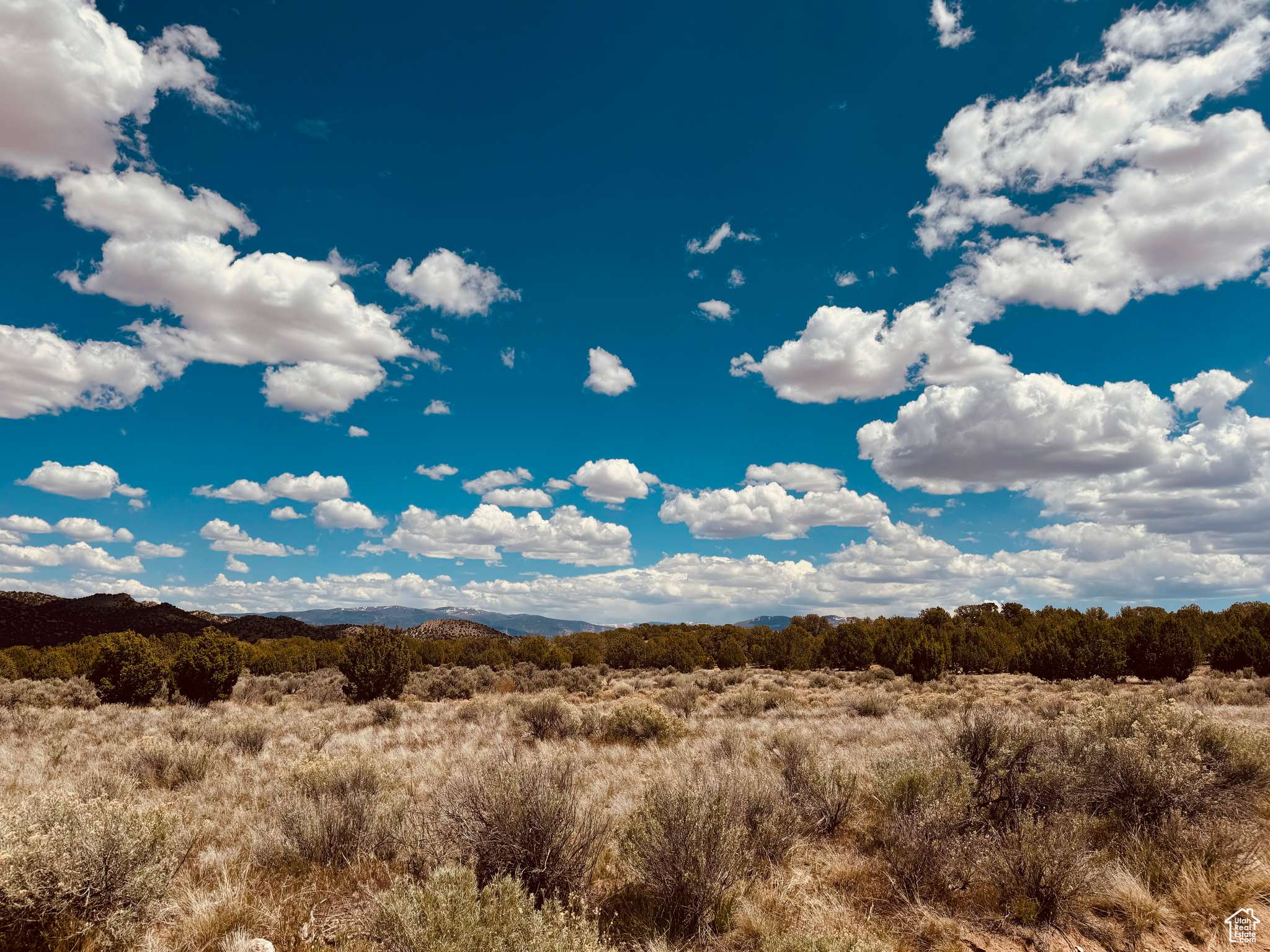 Cedar City, UT 84721,22 ACRES N COMSTOCK RD