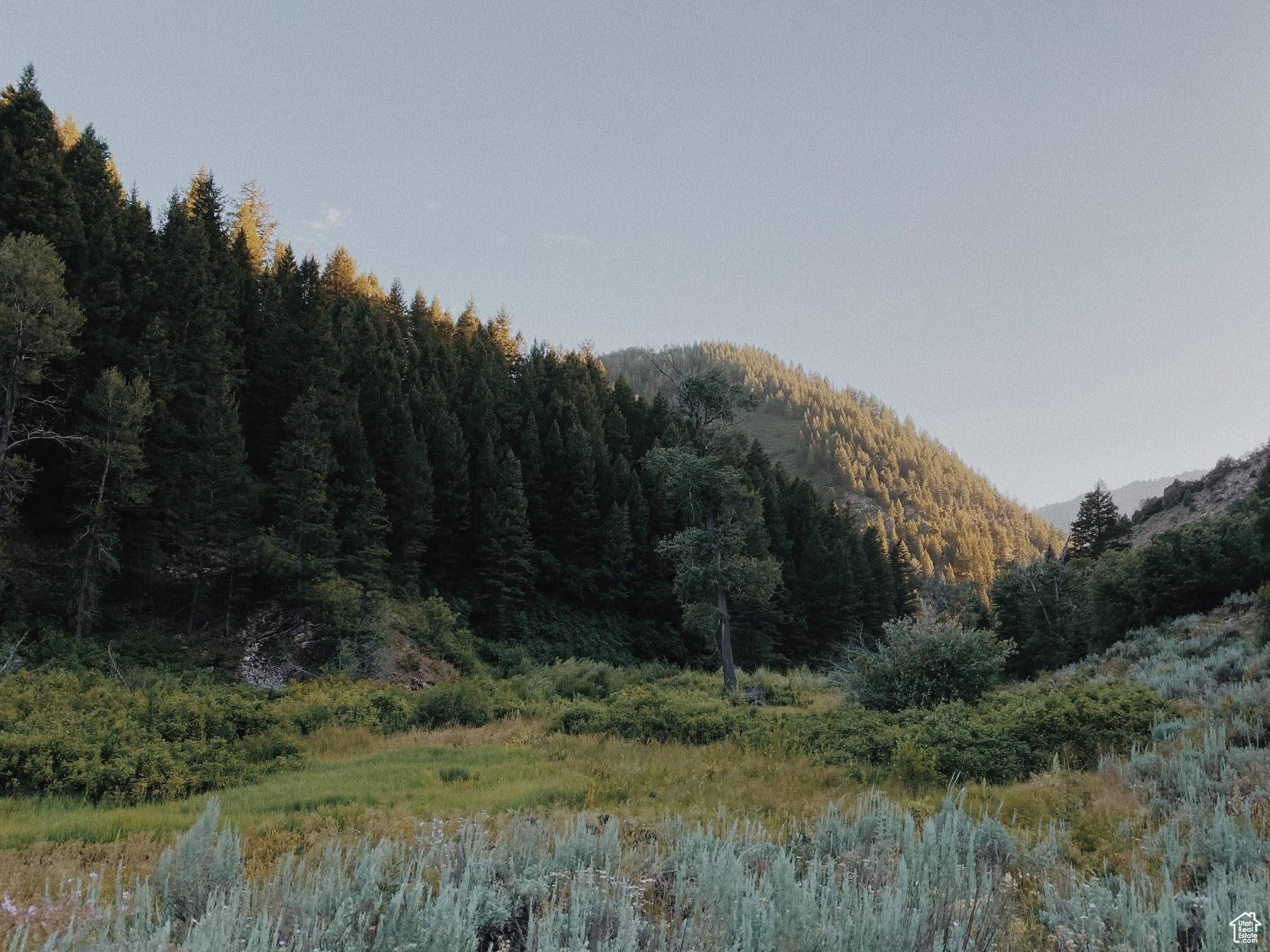 Huntsville, UT 84317,10787 E JEDIDIAH SMITH DR #215