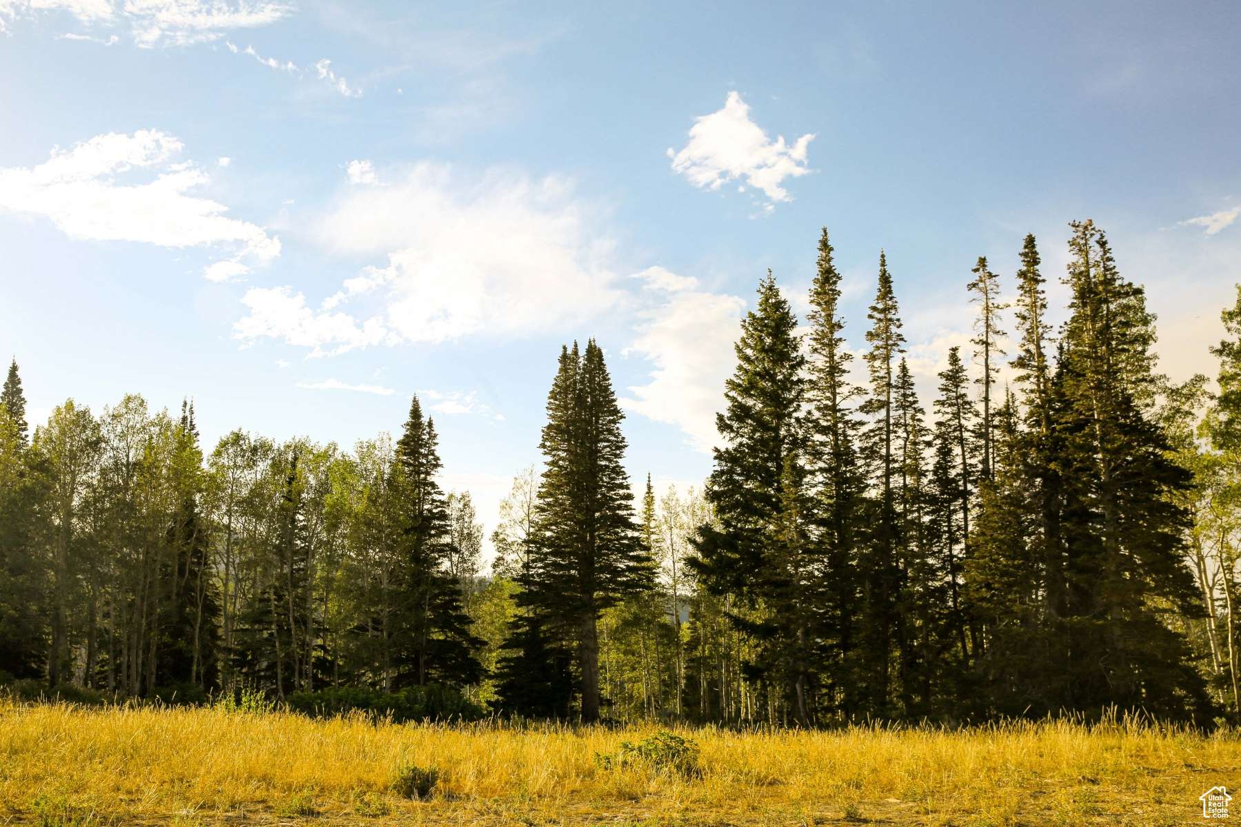 Park City, UT 84060,146 WHITE PINE CANYON RD #146