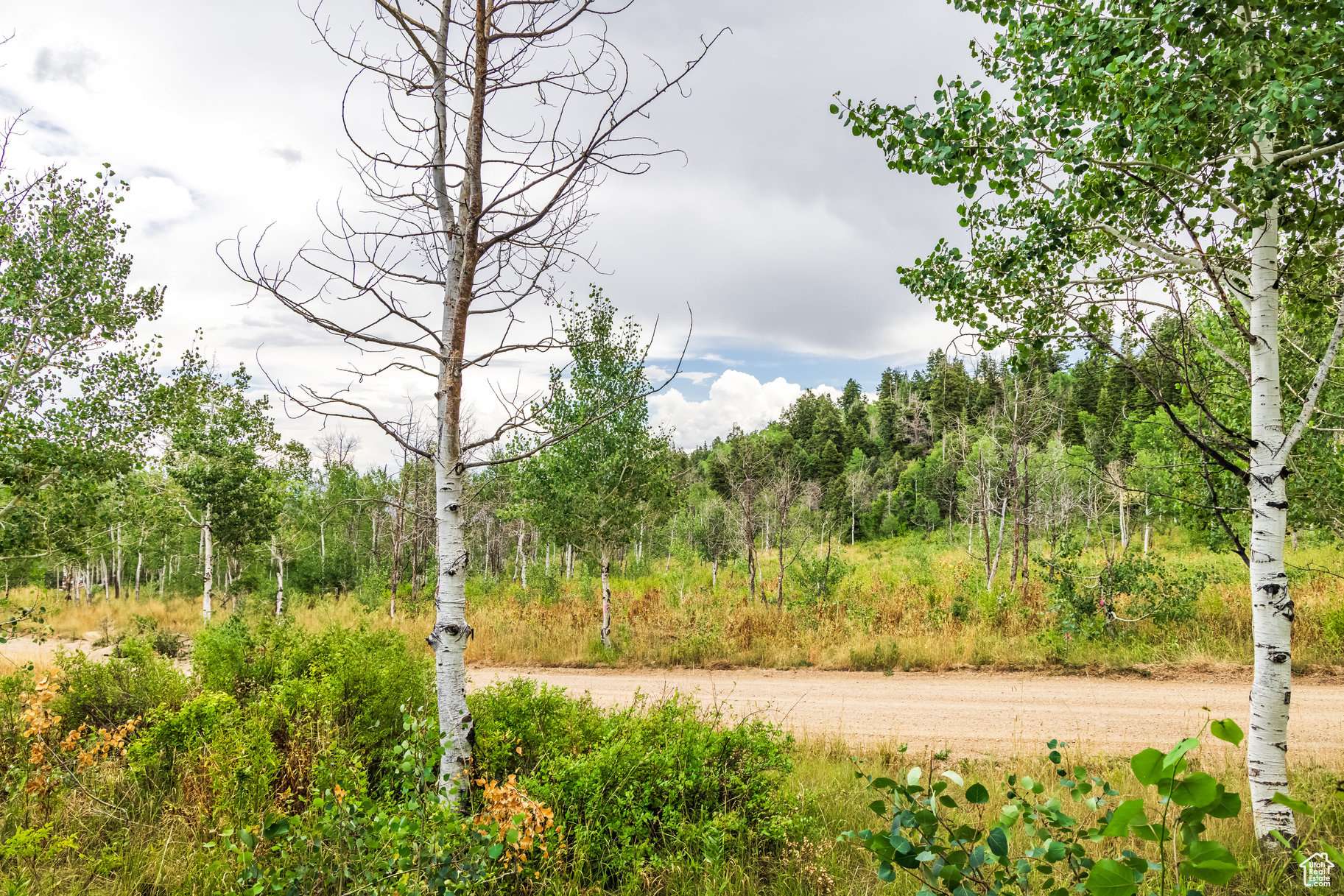 Coalville, UT 84017,2264 FOREST MEADOW RD #117