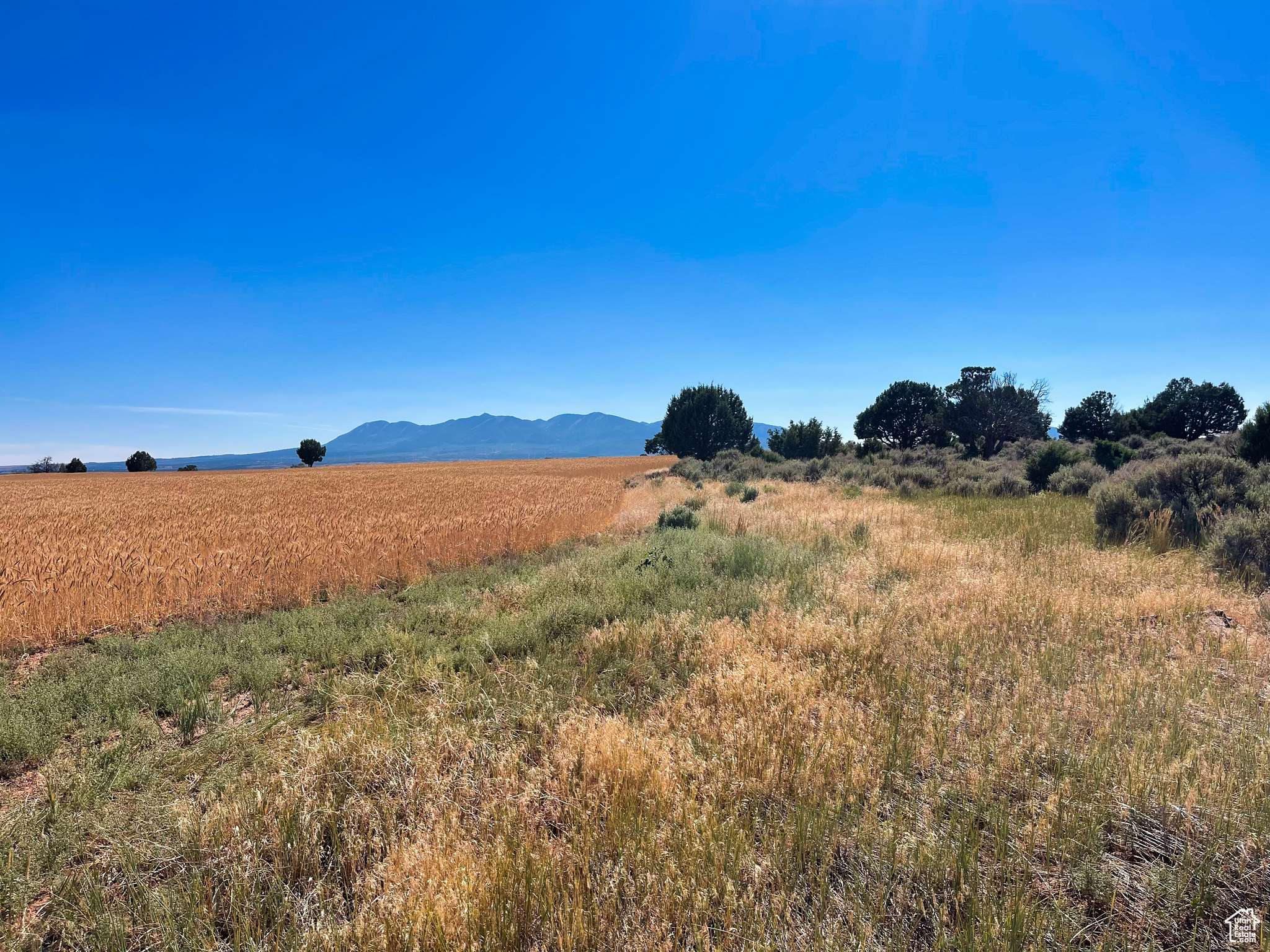 Monticello, UT 84535,1 STURGEON RD