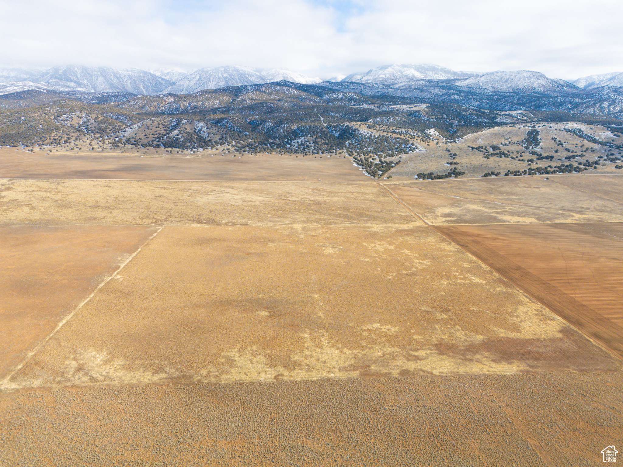 Levan, UT 84639