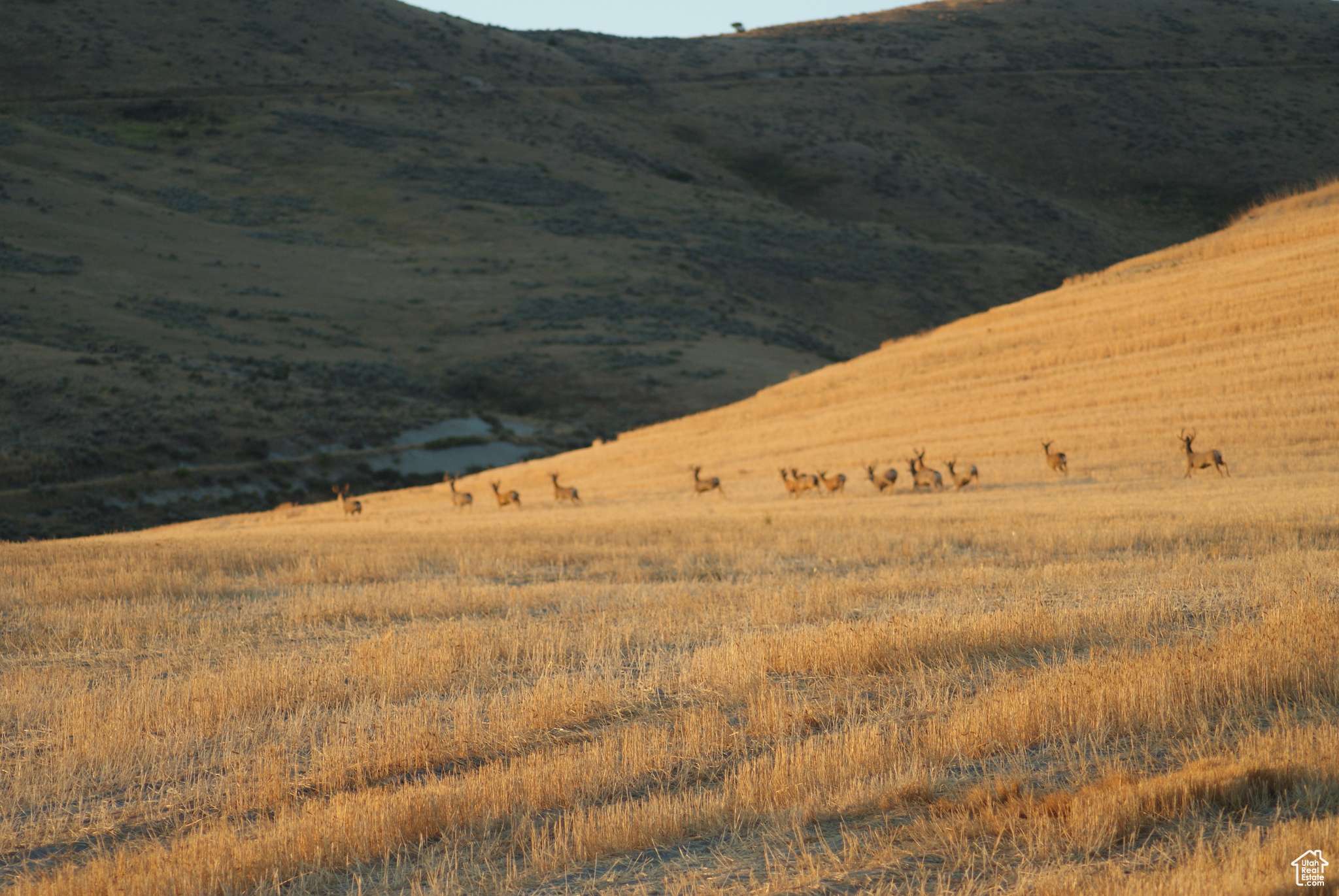 Weston, ID 83286,4800 S 5400 W