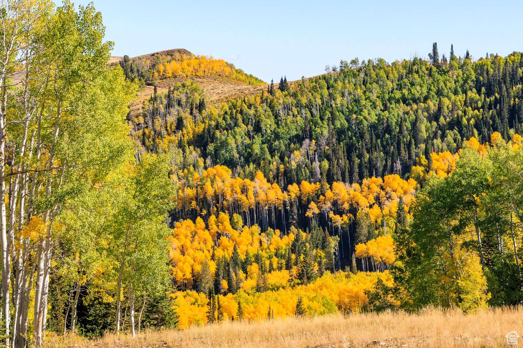 Park City, UT 84060,325 WHITE PINE CANYON RD #325