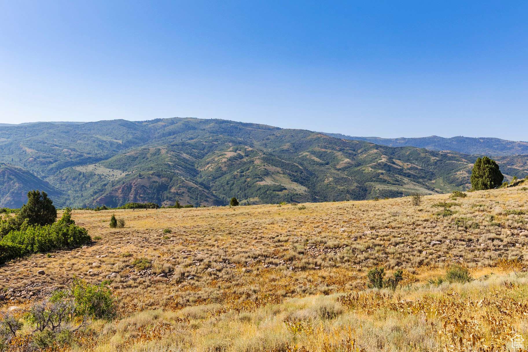 Huntsville, UT 84317,13213 E OAK CANYON RD #459