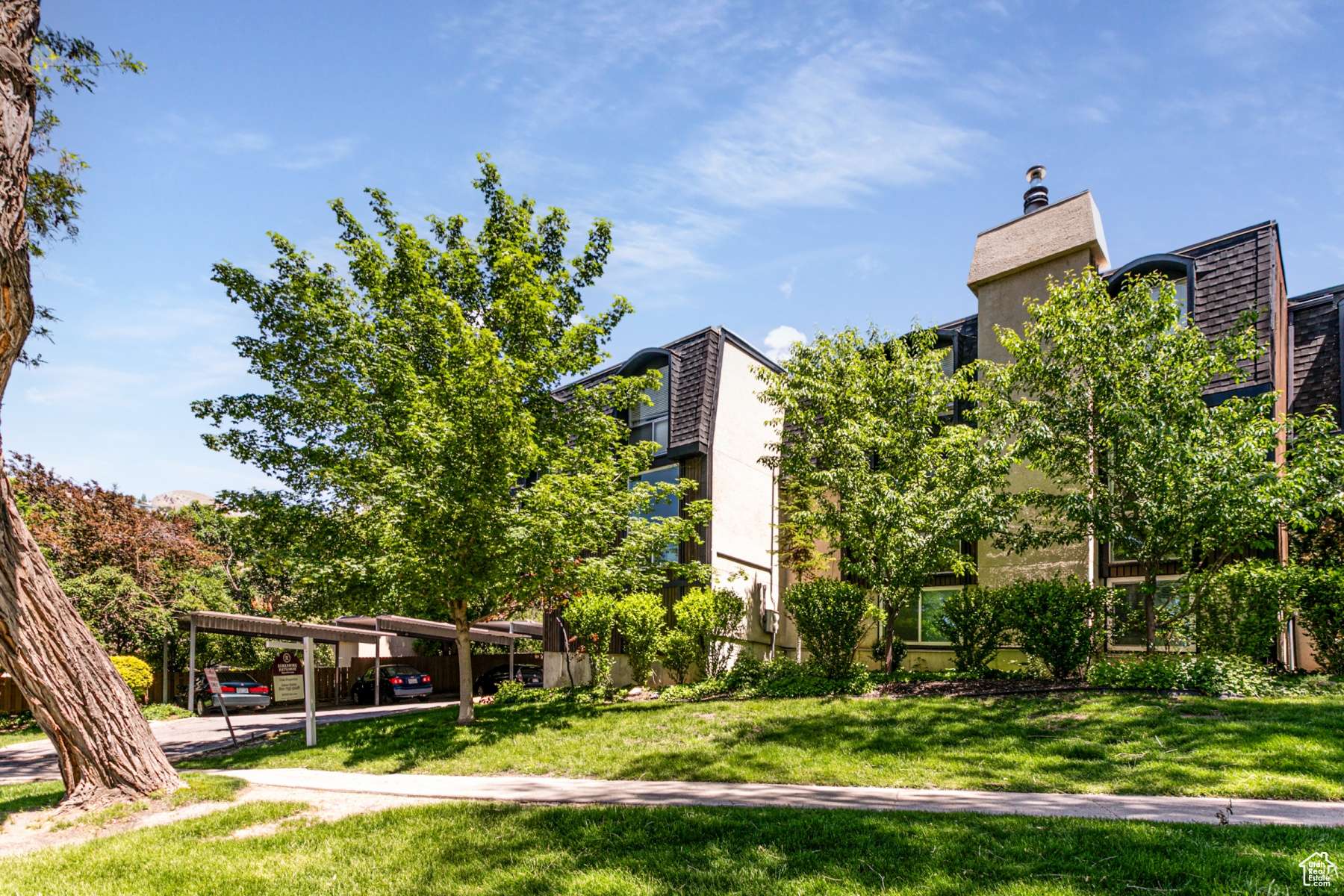 Salt Lake City, UT 84103,438 N CENTER ST W #208