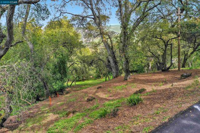 Pleasanton, CA 94566,103 CASTLEWOOD