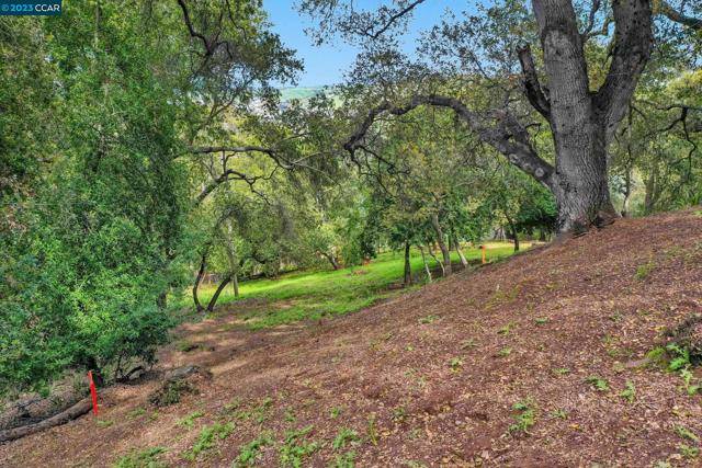 Pleasanton, CA 94566,103 CASTLEWOOD