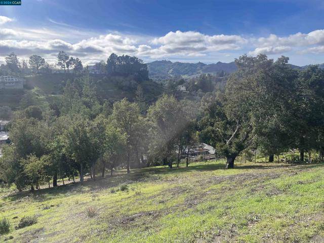 Orinda, CA 94560,6 Patrick Ln