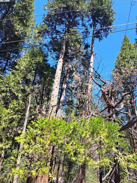 Pollock Pines, CA 95726,Sly Park