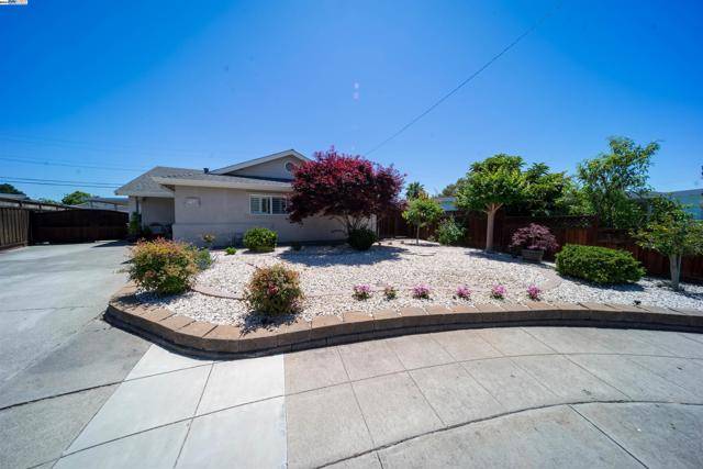 Fremont, CA 94538,3368 Clifton Ct