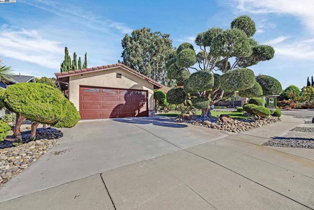 Fremont, CA 94539,45596 Cheyenne Pl