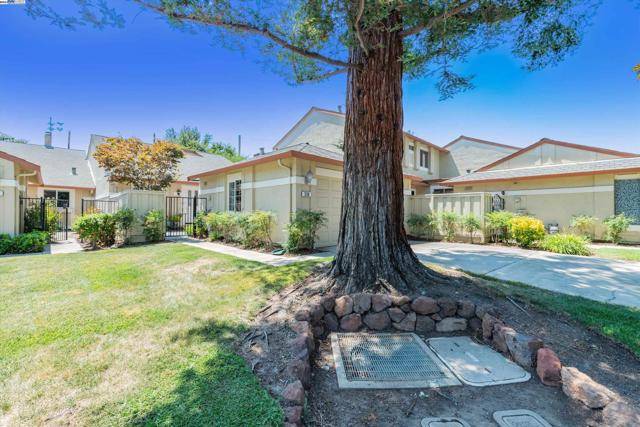 Walnut Creek, CA 94598,538 Via Appia