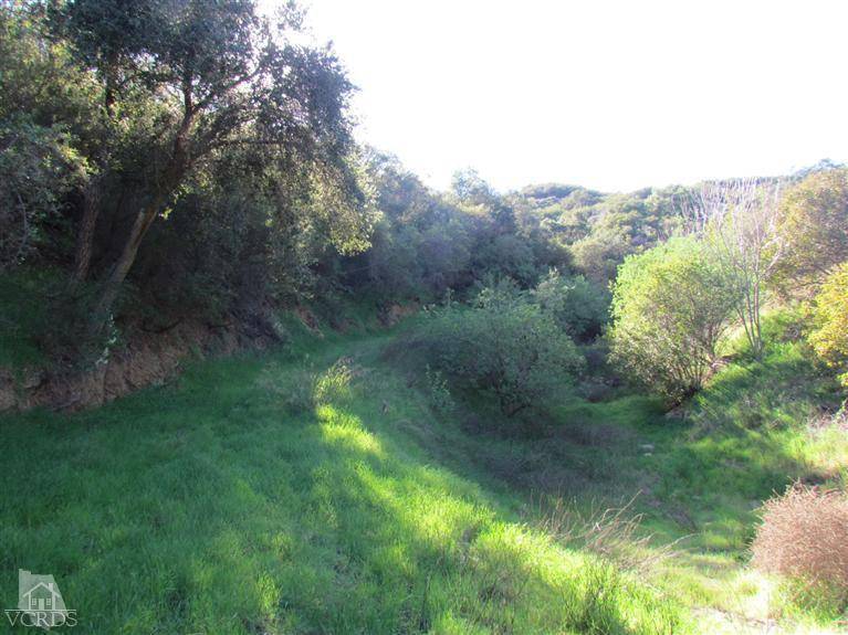 Calabasas, CA 91302,24677 Dry Canyon Cold Creek Road