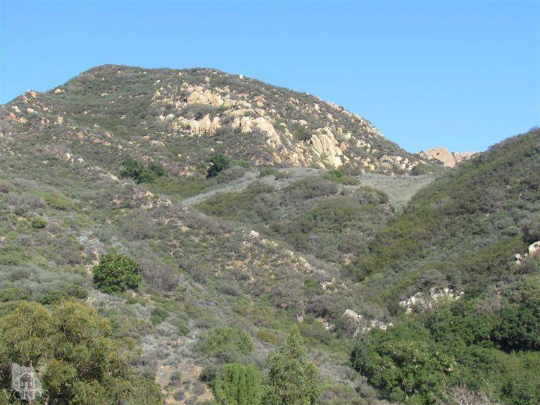 Calabasas, CA 91302,24677 Dry Canyon Cold Creek Road