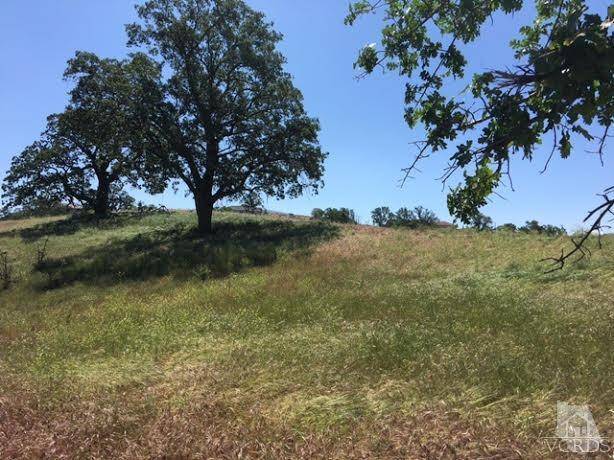 Tehachapi, CA 93561,Roan Court Lot 165