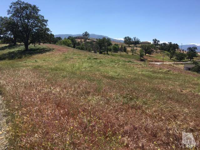 Tehachapi, CA 93561,Roan Court Lot 165