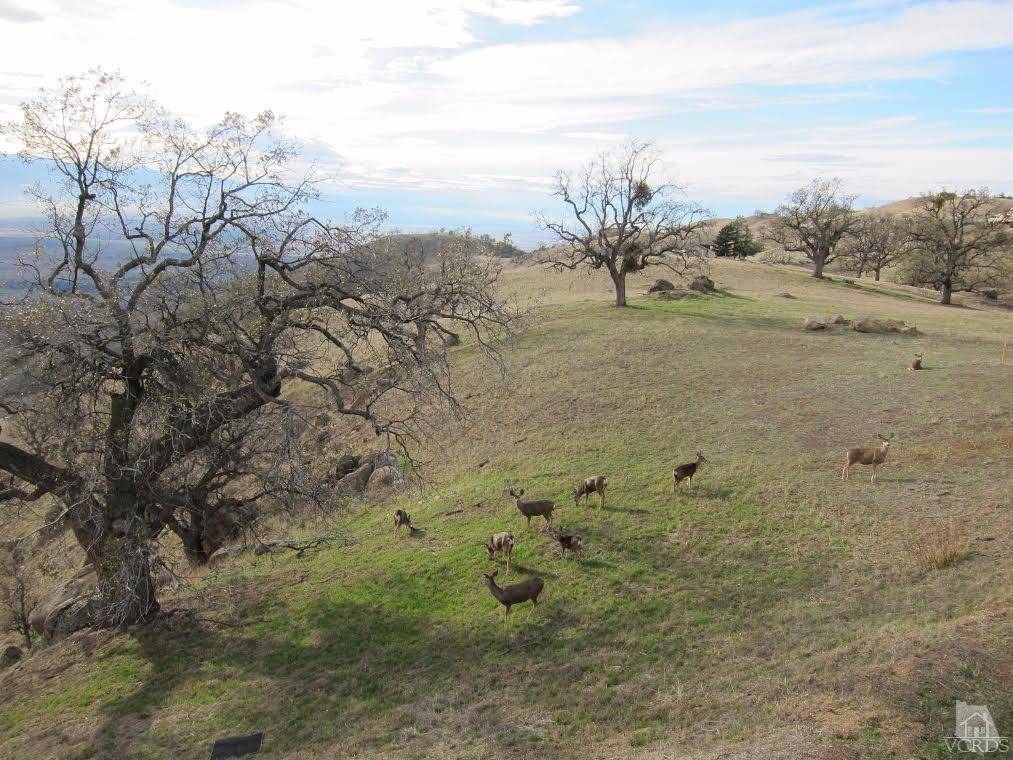 Tehachapi, CA 93561,30000 Percheron Place