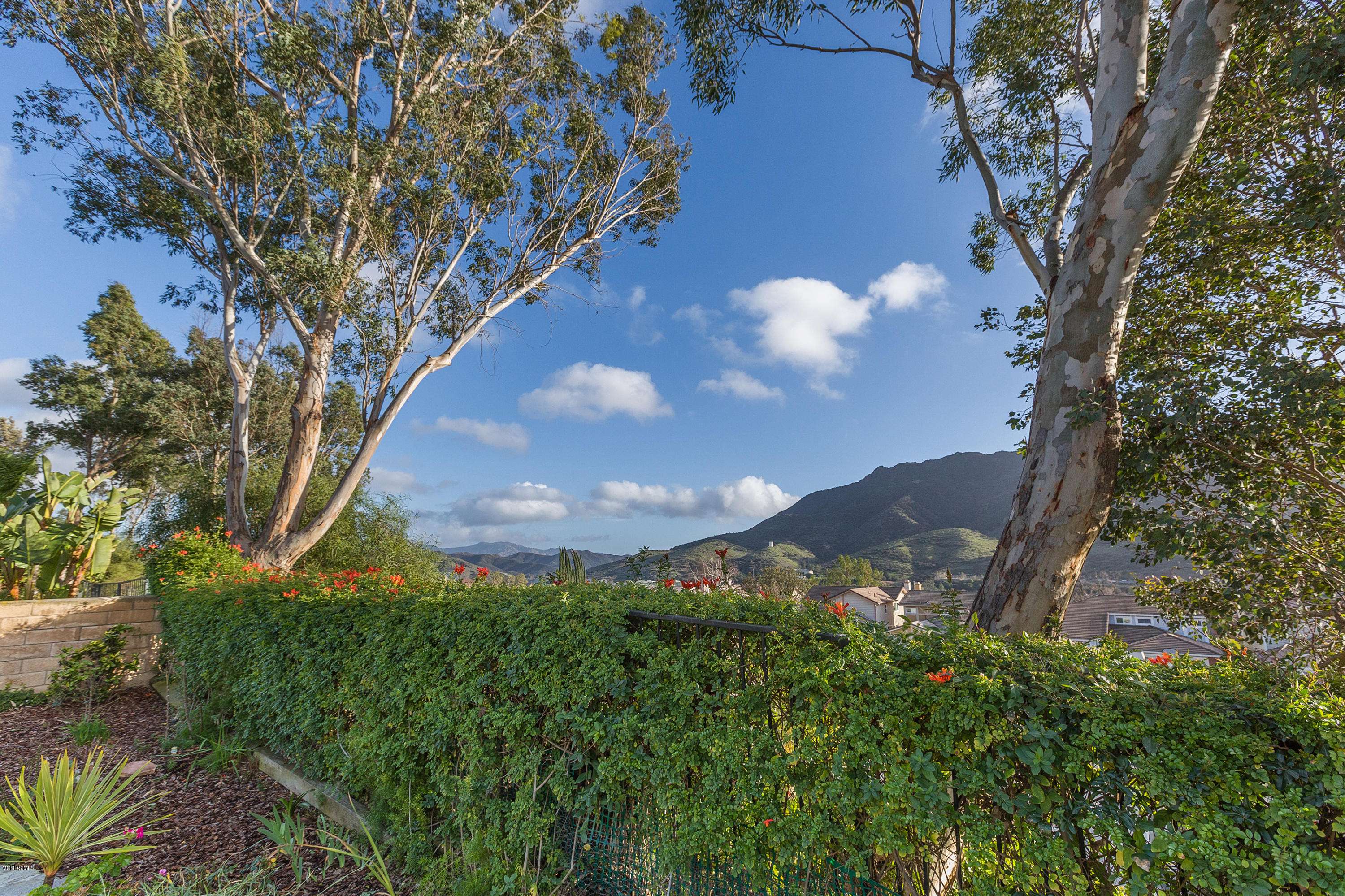 Agoura Hills, CA 91301,5548 Adelina Court